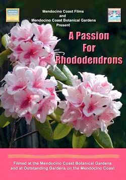 A PASSION FOR RHODODENDRONS